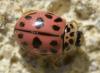 228860 – Photo : Christian Berquer – France (26)